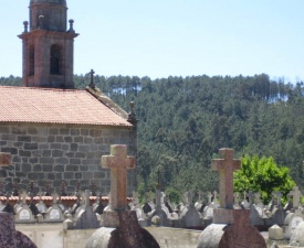 Sea of crosses